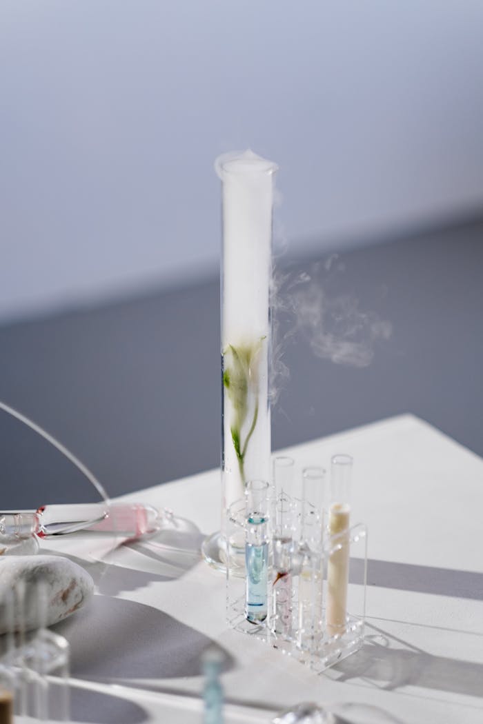 Test Tubes and Flasks Standing on a Table in a Laboratory